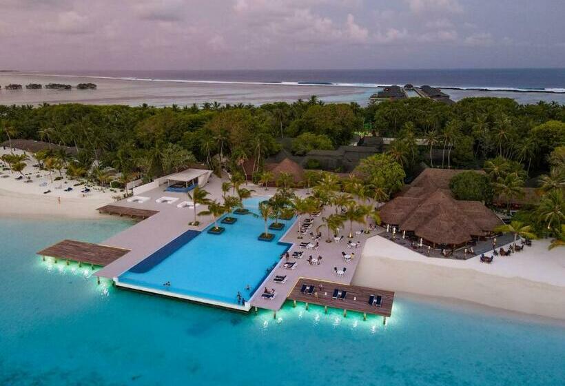 Always natural... Maldives